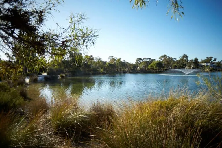 What you need to know about Land TitlesImage